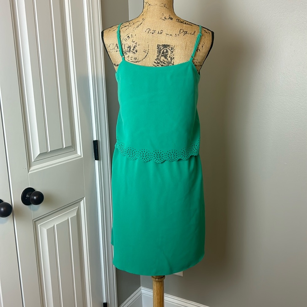 Beautiful Dress by C. Luce